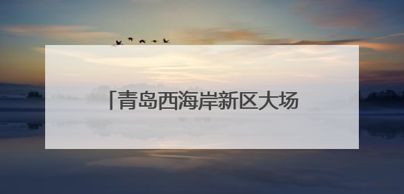 青岛西海岸新区大场镇：综治中心强服务，和谐港湾暖民心