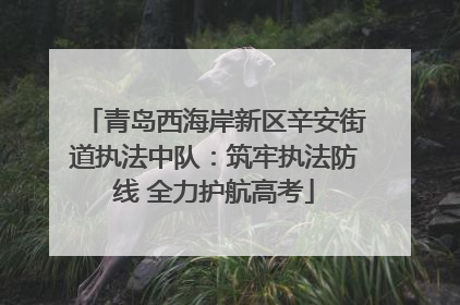 青岛西海岸新区辛安街道执法中队：筑牢执法防线 全力护航高考