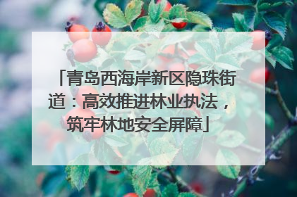 青岛西海岸新区隐珠街道：高效推进林业执法，筑牢林地安全屏障