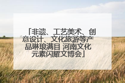 非遗、工艺美术、创意设计、文化旅游等产品琳琅满目 河南文化元素闪耀文博会