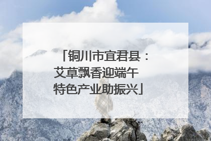 铜川市宜君县：艾草飘香迎端午 特色产业助振兴