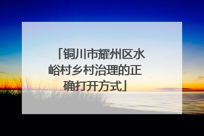 铜川市耀州区水峪村乡村治理的正确打开方式
