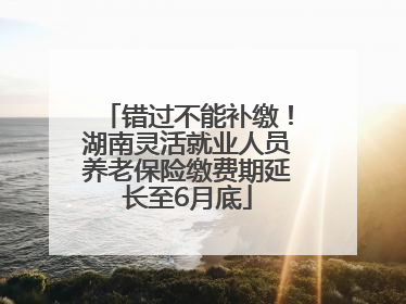 错过不能补缴！湖南灵活就业人员养老保险缴费期延长至6月底