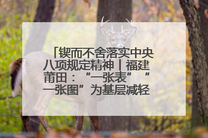 锲而不舍落实中央八项规定精神丨福建莆田：“一张表”“一张图”为基层减轻“数字负担”