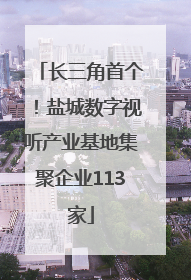 长三角首个！盐城数字视听产业基地集聚企业113家