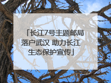 长江7号主题邮局落户武汉 助力长江生态保护宣传