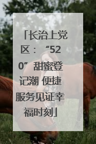 长治上党区：“520”甜蜜登记潮 便捷服务见证幸福时刻