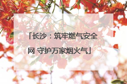 长沙：筑牢燃气安全网 守护万家烟火气