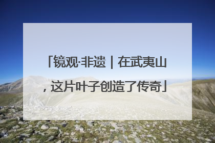 镜观·非遗｜在武夷山，这片叶子创造了传奇