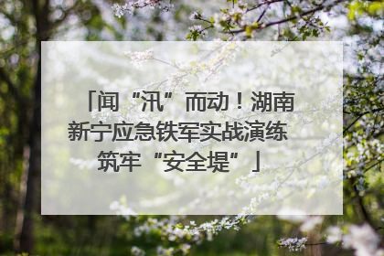 闻“汛”而动！湖南新宁应急铁军实战演练筑牢“安全堤”