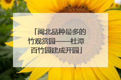 闽北品种最多的竹观赏园——杜潭百竹园建成开园