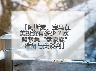 阿斯麦、宝马在美投资有多少？欧盟紧急“盘家底”准备与美谈判