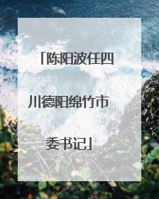 陈阳波任四川德阳绵竹市委书记