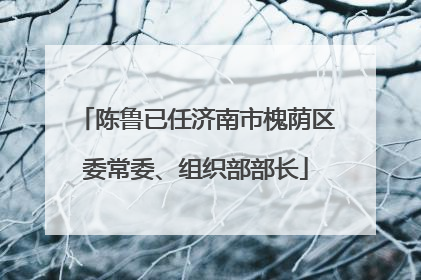 陈鲁已任济南市槐荫区委常委、组织部部长