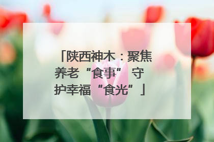 陕西神木：聚焦养老“食事” 守护幸福“食光”