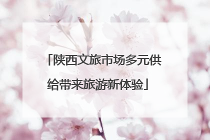 陕西文旅市场多元供给带来旅游新体验