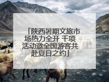 陕西暑期文旅市场热力全开 千项活动邀全国游客共赴夏日之约