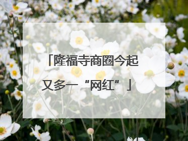 隆福寺商圈今起又多一“网红”