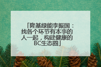 隆基绿能李振国：找各个环节有本事的人一起，构建健康的BC生态圈