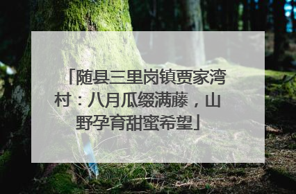 随县三里岗镇贾家湾村：八月瓜缀满藤，山野孕育甜蜜希望