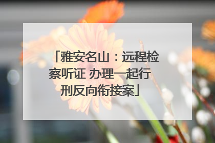 雅安名山：远程检察听证 办理一起行刑反向衔接案