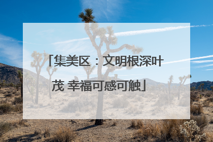 集美区：文明根深叶茂 幸福可感可触