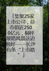 集聚25家上市公司，总市值近2500亿元，桐梓坡路风景这边独好——长沙有条“上市路”