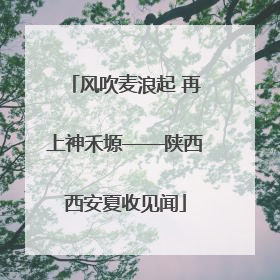 风吹麦浪起 再上神禾塬——陕西西安夏收见闻