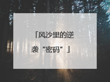 风沙里的逆袭“密码”