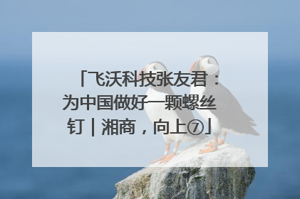 飞沃科技张友君：为中国做好一颗螺丝钉｜湘商，向上⑦