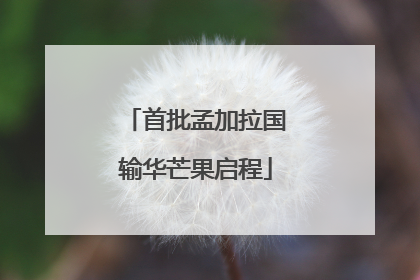首批孟加拉国输华芒果启程