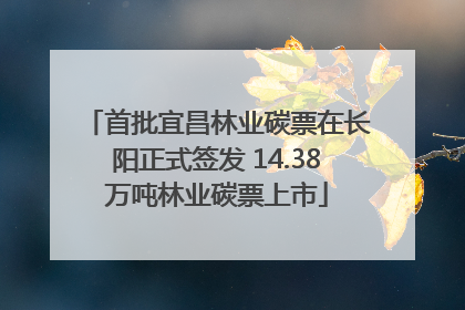 首批宜昌林业碳票在长阳正式签发 14.38万吨林业碳票上市