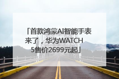 首款鸿蒙AI智能手表来了，华为WATCH 5售价2699元起