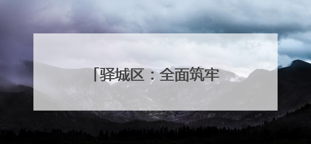 驿城区：全面筑牢防汛“安全网”