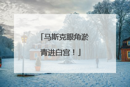 马斯克眼角淤青进白宫！