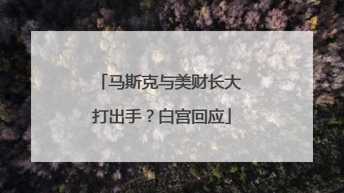 马斯克与美财长大打出手？白宫回应