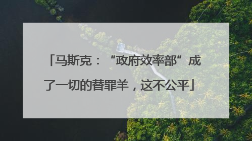 马斯克：“政府效率部”成了一切的替罪羊，这不公平