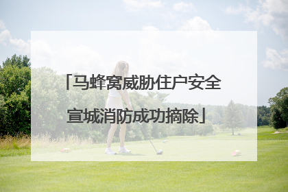 马蜂窝威胁住户安全 宣城消防成功摘除