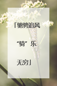 驰骋追风 “骑”乐无穷