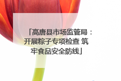 高唐县市场监管局：开展粽子专项检查 筑牢食品安全防线