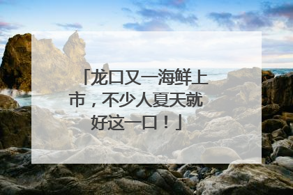 龙口又一海鲜上市，不少人夏天就好这一口！
