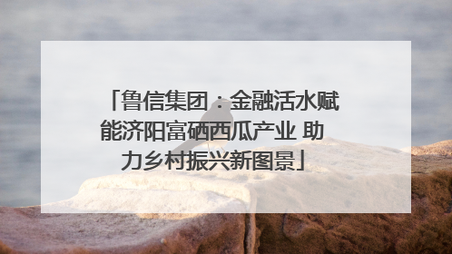 鲁信集团：金融活水赋能济阳富硒西瓜产业 助力乡村振兴新图景