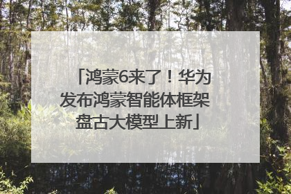 鸿蒙6来了！华为发布鸿蒙智能体框架 盘古大模型上新