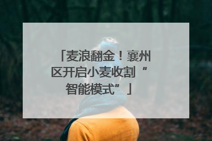 麦浪翻金！襄州区开启小麦收割“智能模式”