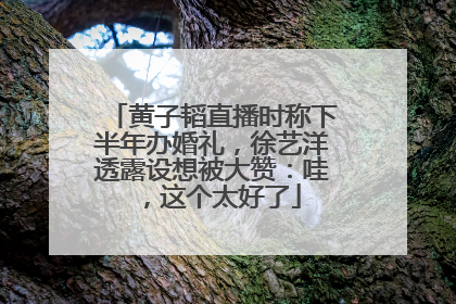 黄子韬直播时称下半年办婚礼，徐艺洋透露设想被大赞：哇，这个太好了
