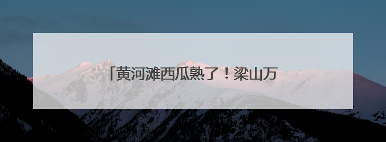 黄河滩西瓜熟了！梁山万余亩沙瓤瓜直达市民餐桌