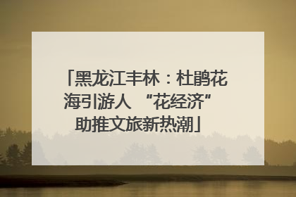 黑龙江丰林：杜鹃花海引游人 “花经济”助推文旅新热潮