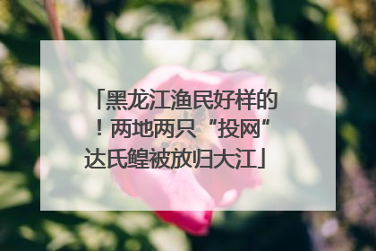 黑龙江渔民好样的！两地两只“投网”达氏鳇被放归大江
