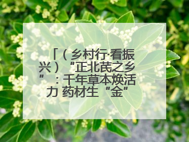 （乡村行·看振兴）“正北芪之乡”：千年草本焕活力 药材生“金”富农家