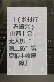 （乡村行·看振兴）山西上党：无人机“一喷三防”筑夏粮丰收屏障